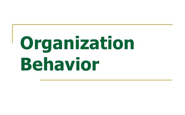 نگاهی بر جایگاه رفتار سازمانی
